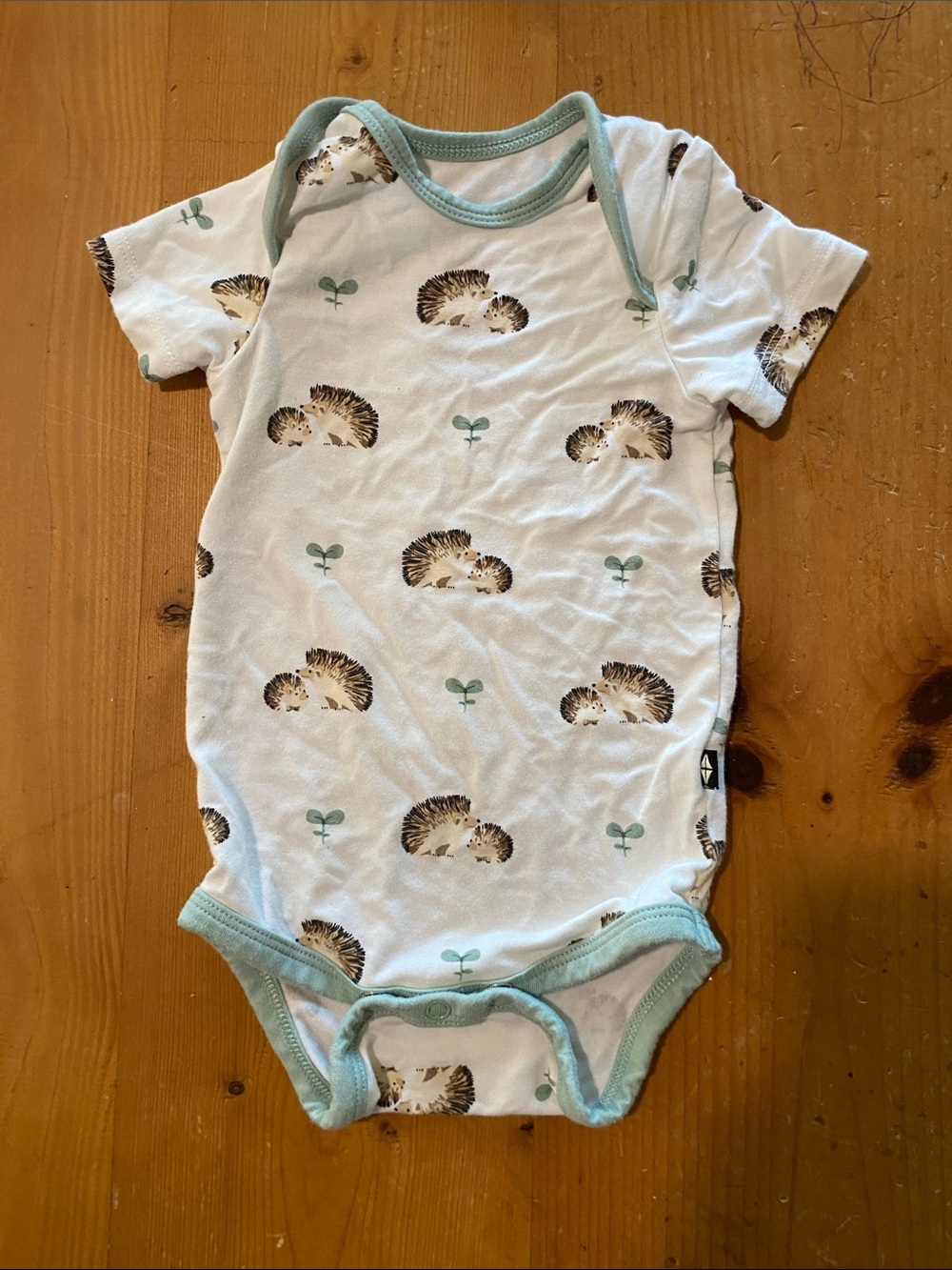 Kyte BABY White Onesie with Mint Trim and Hedgehog Print Size 0-3 Mo
